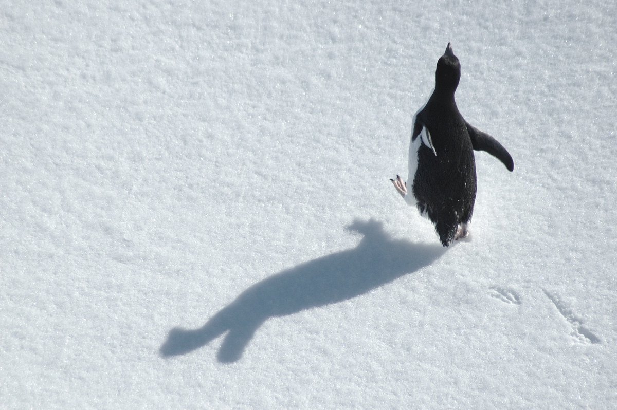 RunningAward's tweet photo. Go on, brave the cold https://t.co/EFVl5XL87N #TRA2015 #resolutions #running https://t.co/0NglkmeBNB