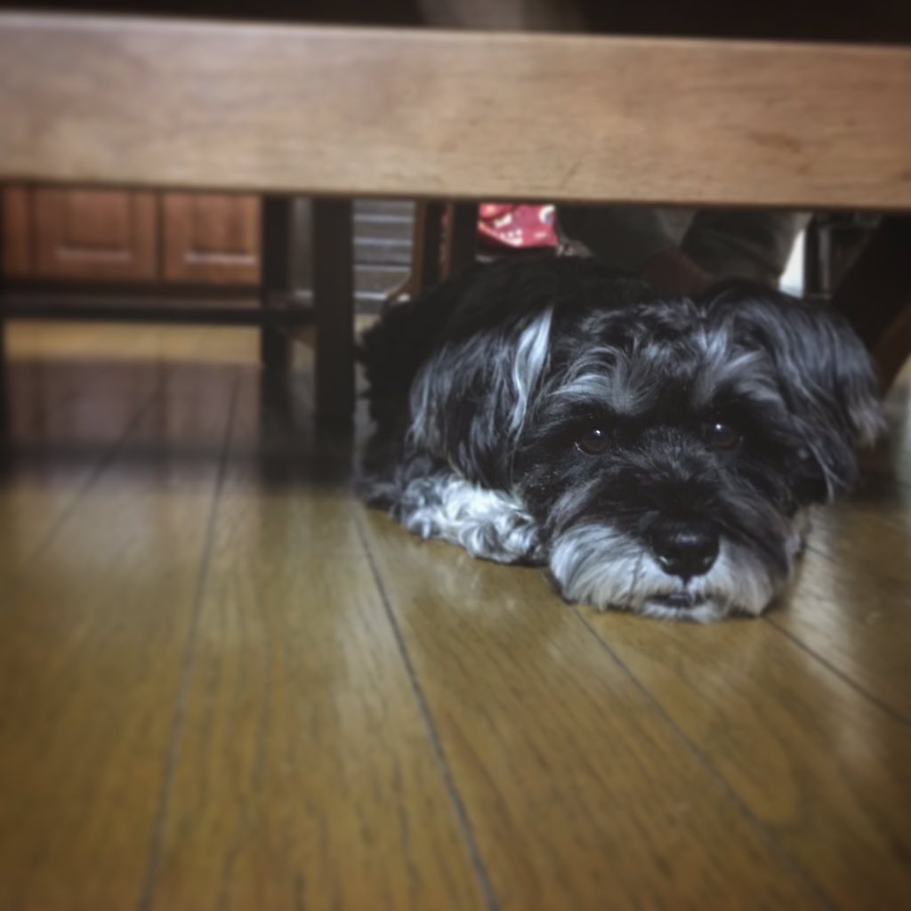 兵庫県立伊丹高校61回生サッカー部