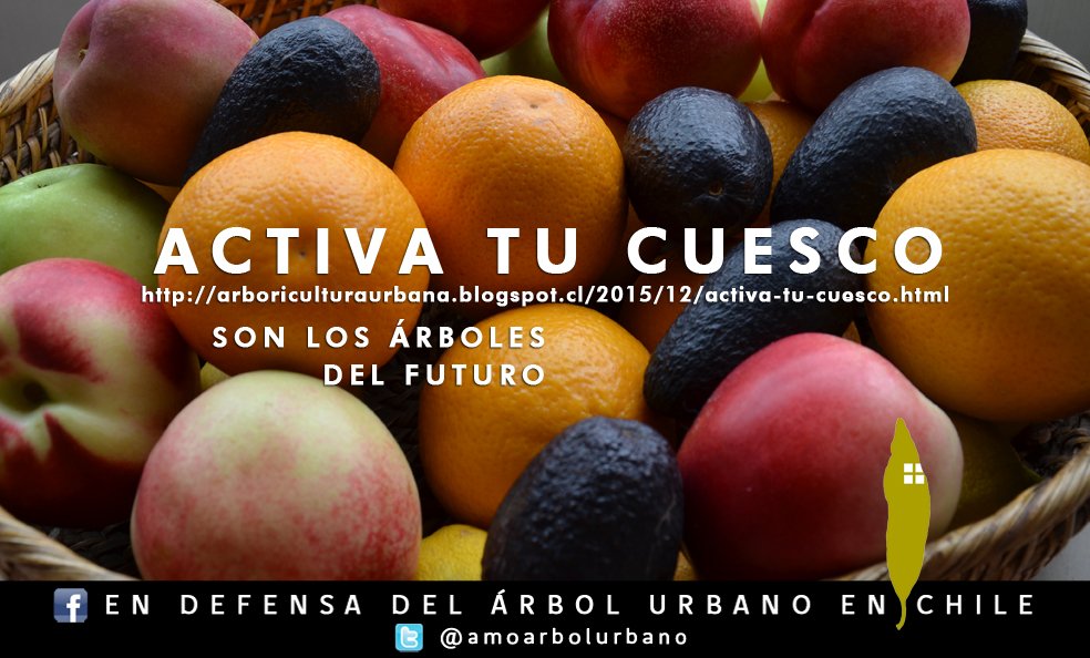 amoarbolurbano's tweet image. Adherimos a la campaña ACTIVA TU CUESCO arboriculturaurbana.blogspot.cl/2015/12/activa… @activatucuesco @santiagodelpozo @defensaciudad