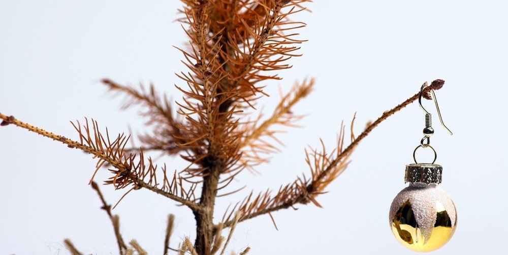 StretchHose's tweet photo. Don't forget to make the most of your Christmas tree &amp; #recycle it by shredding it for mulch. https://t.co/X6VSSO9MQD
