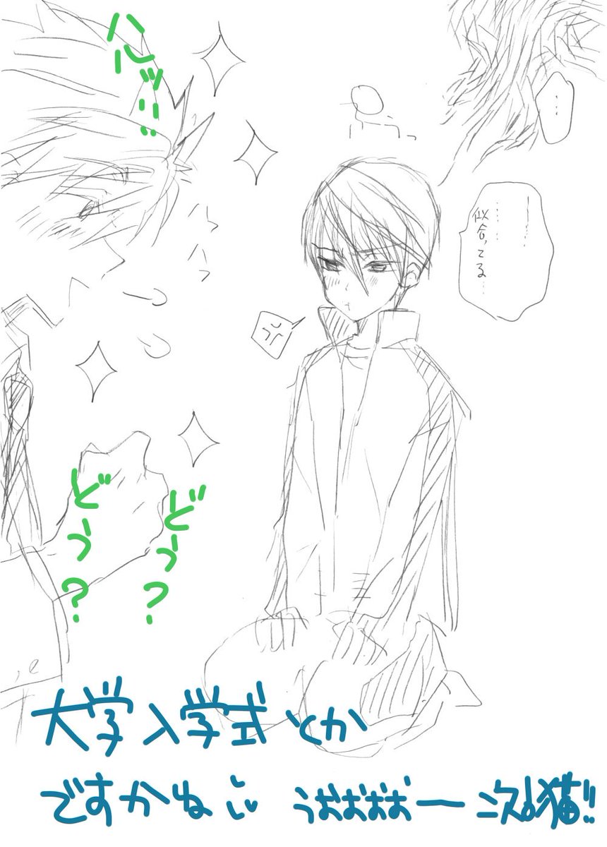 @kouchan_fr00 @shinooh @teruminnnnnn ホントに、ノートに鉛筆のらくがき・・・スミマセン(>_<)ネコはも少しちゃんと描きます・・・ 