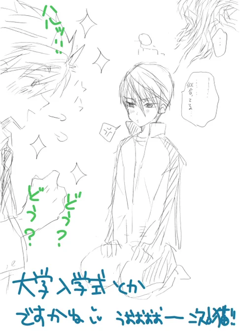 @kouchan_fr00 @shinooh @teruminnnnnn ホントに、ノートに鉛筆のらくがき・・・スミマセン(>_<)ネコはも少しちゃんと描きます・・・ 