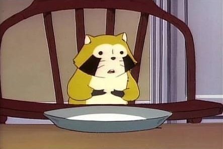 わたあめ アライグマ