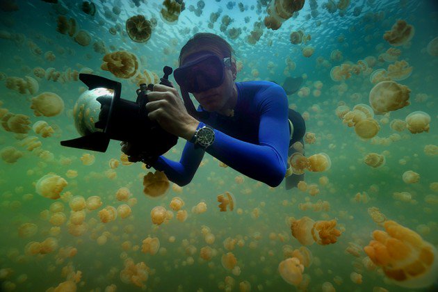 PositiveLuxury's tweet photo. Take a journey with @NatGeo #explorer @Enric_Sala to save the #ocean 
https://t.co/RZlcgadGiN https://t.co/BL1hzGYDgv