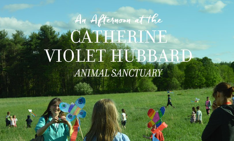 MoomahMagazine's tweet photo. Our first #MakeNiceMission of 2016: The Catherine Violet Hubbard Animal Sanctuary: https://t.co/M9cBkCJS49 https://t.co/XF0FHkGUOI
