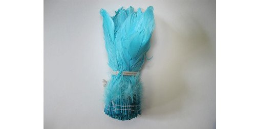 FEATHER TREASURES (@FEATHERTREASURE) / Posts / X