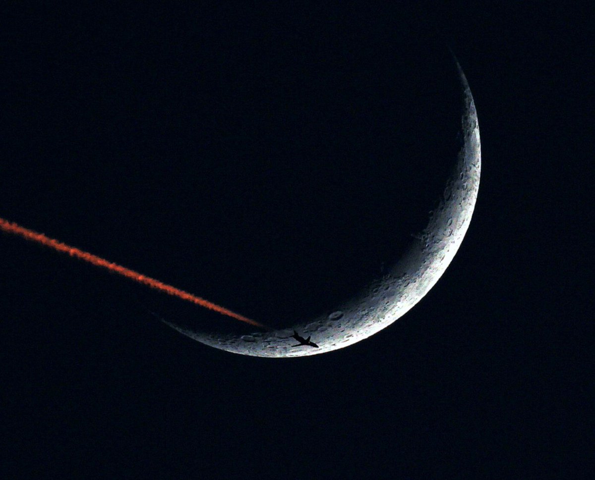 sebastien lebrigand tweet media