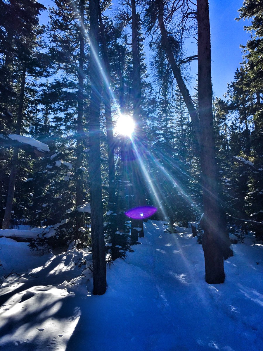 Dirt101's tweet photo. #bierstadtlake trail in #RMNP. Elk sunning under #lumpyridge and #twinowls. @enjoyestespark @RockyNPS @bcitreese https://t.co/R1GsSdFYx4