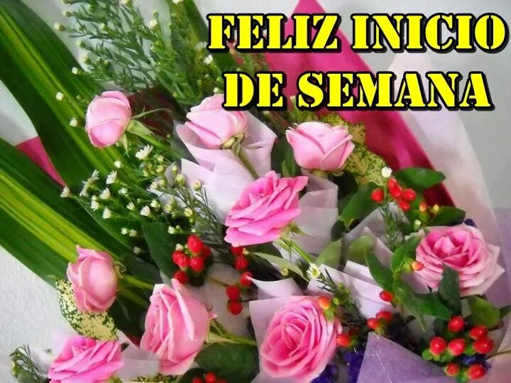 Enlace permanente de imagen incrustada
