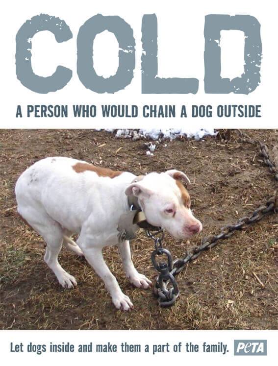 can dogs freeze to death