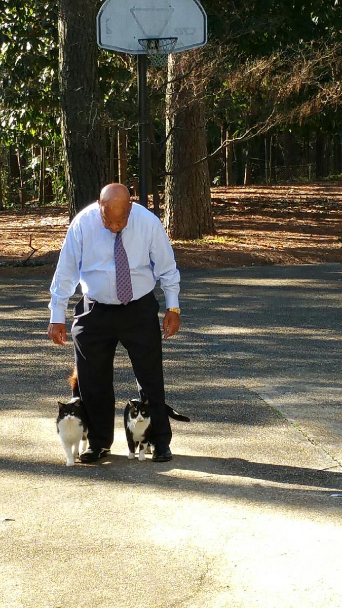 repjohnlewis's tweet image. I hope everyone had a safe holiday. I spent some of the break playing with my cats.