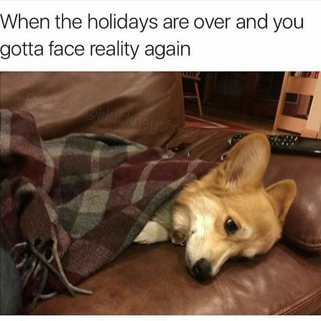 getCYPHERapp's tweet photo. Festive blues.... How was everyone's first day back, after the holidays? 🙈 https://t.co/BfjYag9Cy9