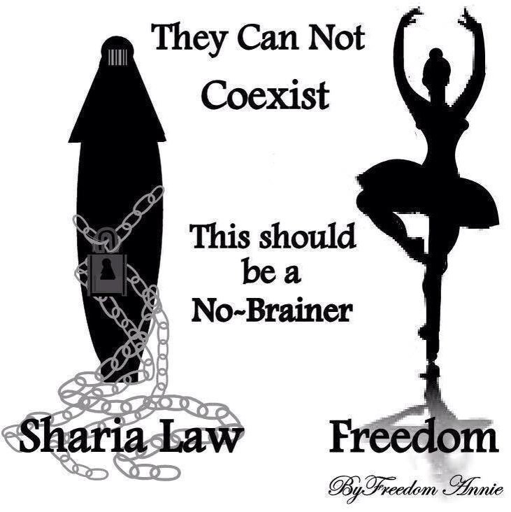 fiteswithheart1's tweet photo. This. #woman #women #NoShariaInUS @AppSame #PJNET #TCOT #CCOT #Christian #Genocide #news #politics #Trump #CruzCrew https://t.co/JyFfC1ngY2