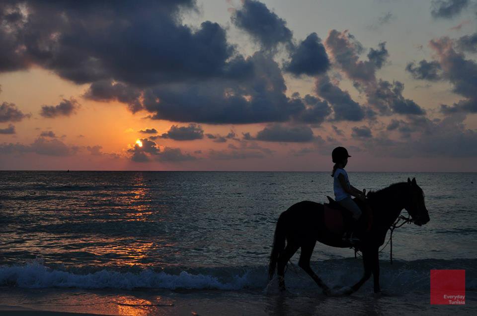 everydaytun's tweet photo. Equitation au bord de mer à l'île de #Djerba
#island #Tunisia #Tunisie https://t.co/dnIF3H9OUm