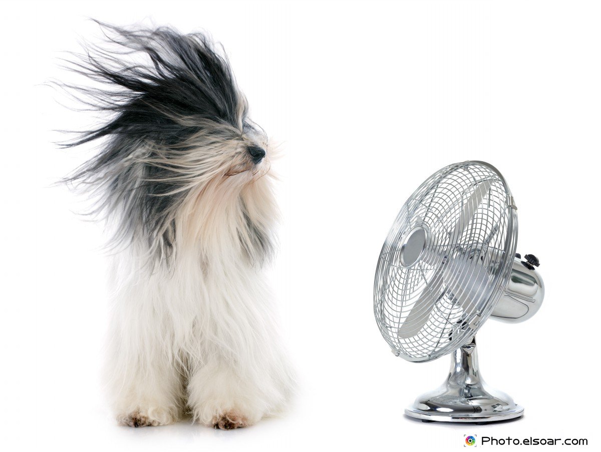CustomClimateCo's tweet photo. Make sure your A/C starts up by doing the maitanence before the heat comes back. Don't rest an #unmaintained #unit https://t.co/Rk1KWl0cNF