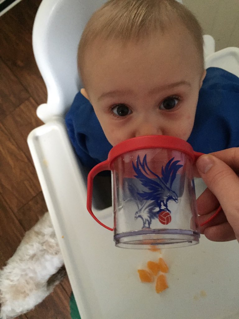 Troutcup_'s tweet photo. Teach them young! @CPFC #Eagles https://t.co/VV85cqNKmM