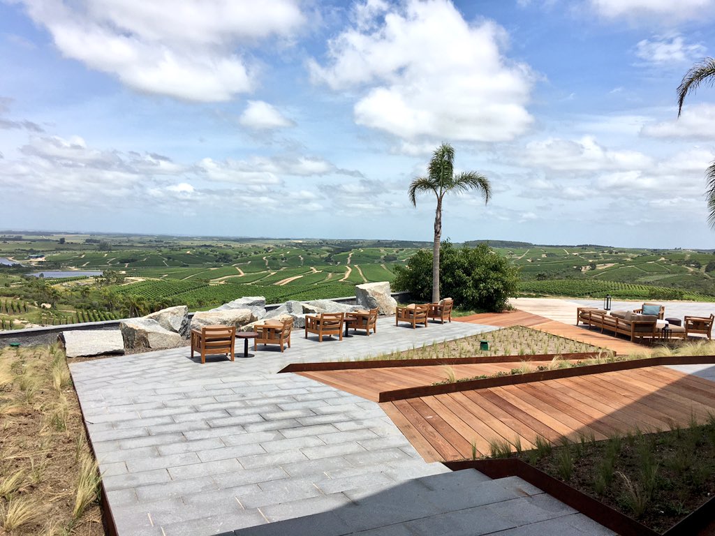 Jpmaluf's tweet photo. Almorzando en el mejor lugar del Mundo.. #Bodega Garzón https://t.co/p9vfsWIbab