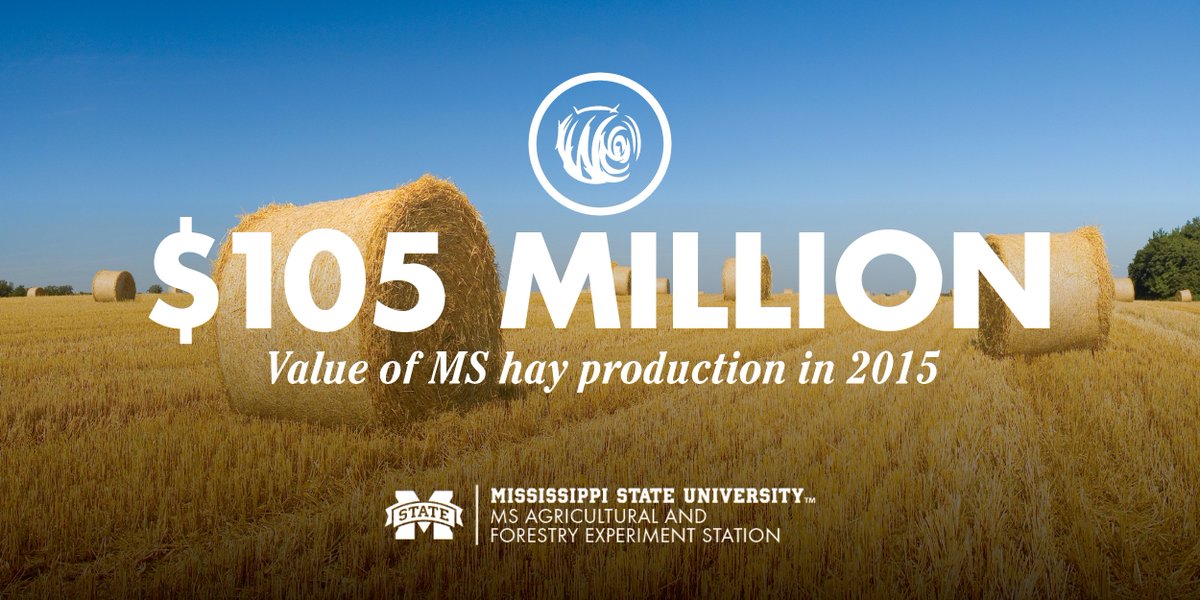 MSU_AG's tweet photo. Did you know that Mississippi producer's harvested 1.49 million tons of hay on 620,000 acres in 2015? https://t.co/bigT9Xcum5