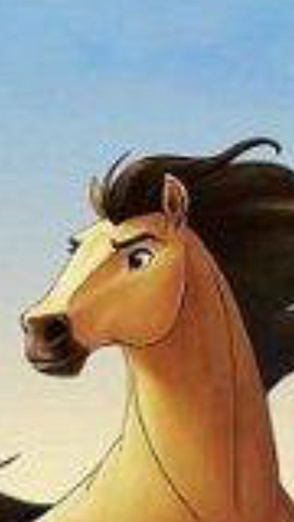 Bonnnne's tweet photo. This horse's eyebrows look better than mine...😭☠ #riplife https://t.co/qg2kLrI4y1