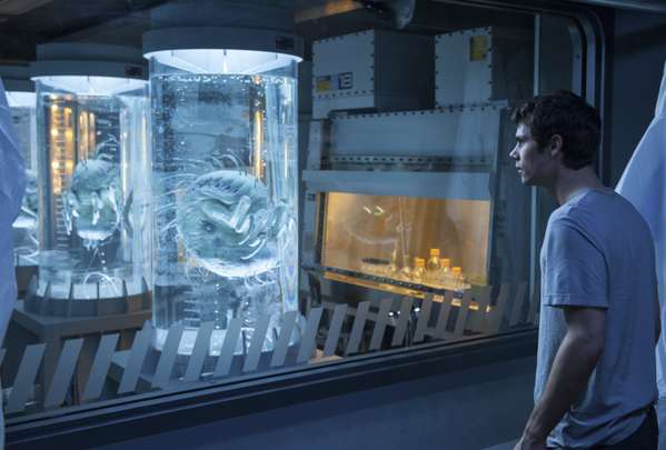 DylanOBrienPT's tweet photo. Nova imagem promocional de Dylan em "The Scorch Trials: Provas de Fogo" https://t.co/SUiXxshbg6