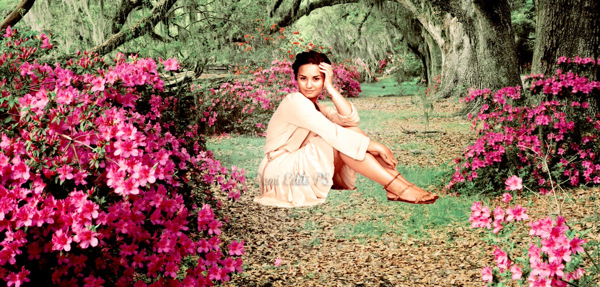 Lesly_AD's tweet photo. Instagram: demieditsps
Facebook: Demi Edits PS 
#DemiEdits #Lovatics #DemiLovato @ddlovato https://t.co/I4hBjRMv3L