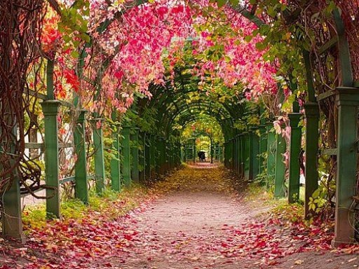 Aybike (@aybike_doqa) on Twitter photo 