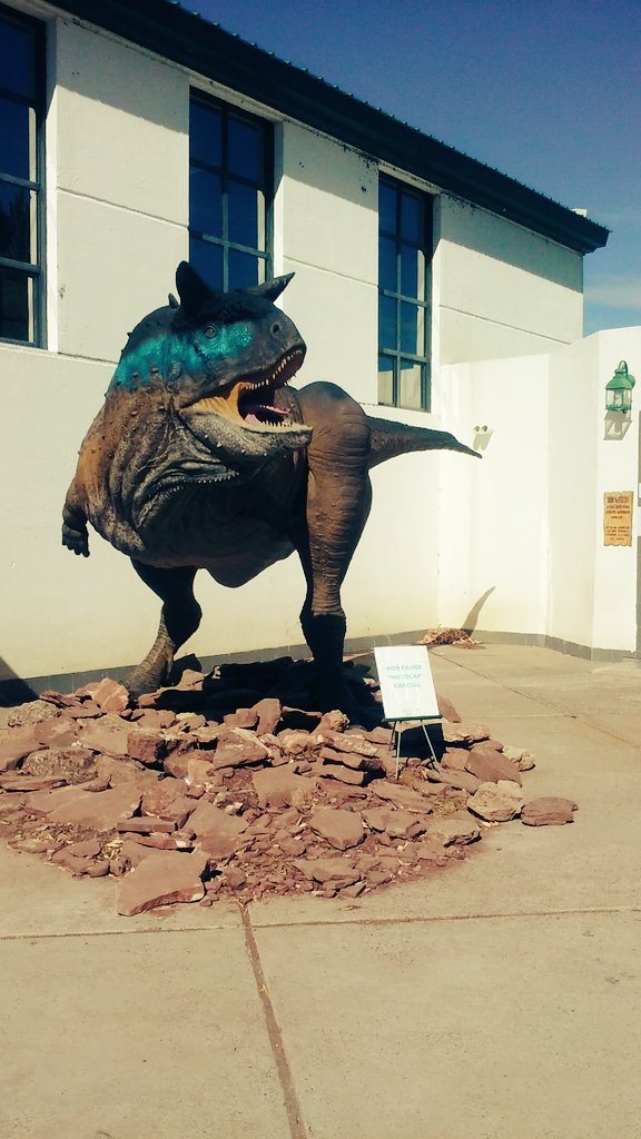 MariaSol982's tweet image. 