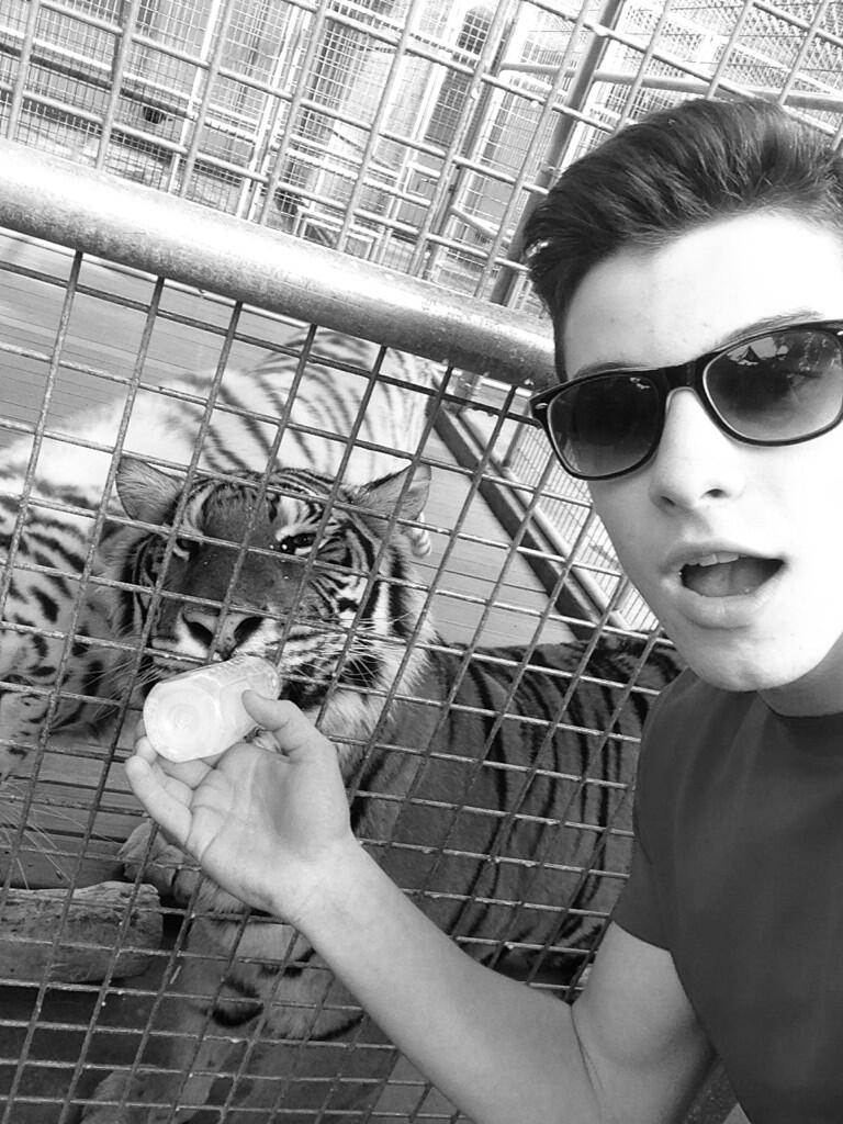 thxxmendes's tweet photo. #EuropeNeedsShawnIn2016 @andrewgertler  @ShawnMendes ❤💛💚 https://t.co/t3dLhv3Dap