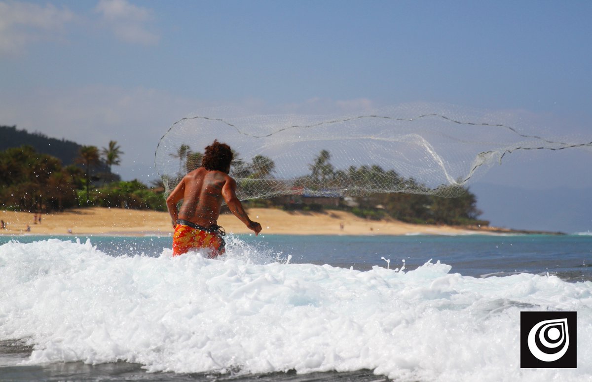 Photo of the Week: True Waterman #roguesup #sup #standuppaddle