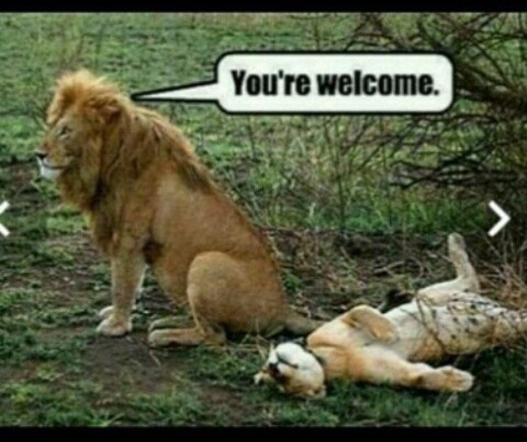 triggertreach's tweet image. What Kim says after she takes her Stap On Dildo off after Hitting Kanye in the A$$!!