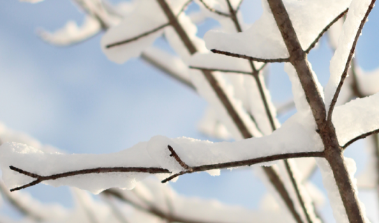 thenayp's tweet photo. Join us next week for a wintry networking evening in Northampton! https://t.co/B7mpSWKEvm https://t.co/ri6vHnJzM8