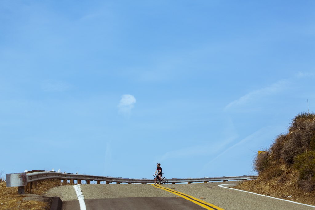 Bellwether Cycling tweet media