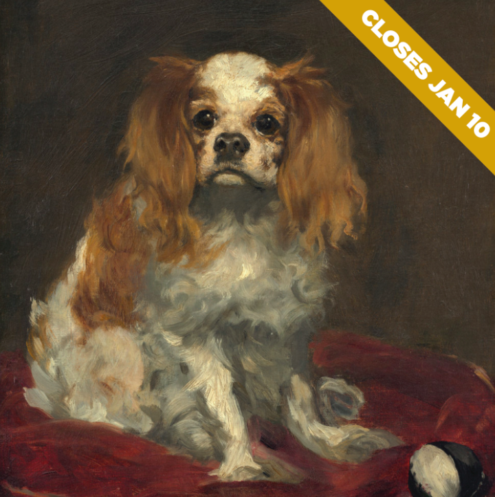 iheartSAM's tweet photo. Last days of #SAMImpressionism! Reg hours PLUS open Tues &amp; late on Fri! https://t.co/vX7iY5Dbdm #MuseumMonday https://t.co/AS3nsV2chh