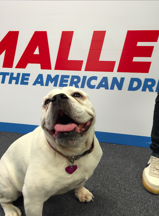 Embedded image permalink