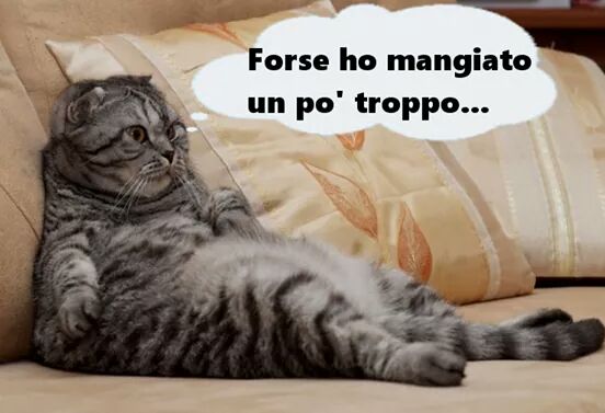 rosadangelo69's tweet photo. @LomiMattia prova https://t.co/RekMzrNxUb