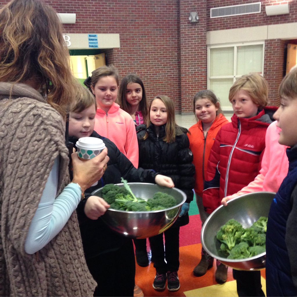 Wow, our broccoli is gorgeous and delicious!  #gardeningsuccess #watchitgrow