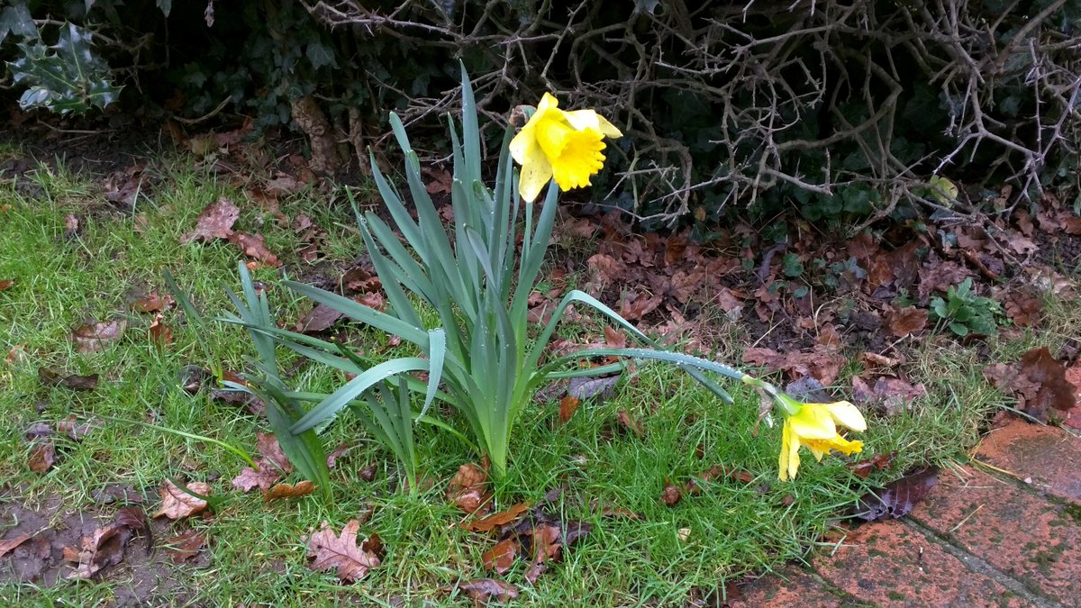 NaphillCommon tweet picture