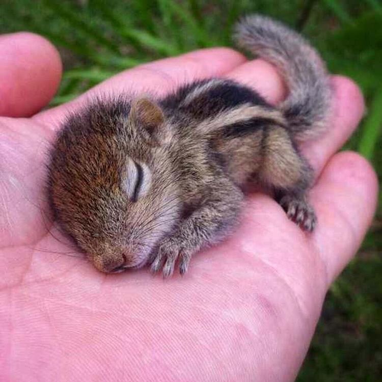 SemperFiPrincss's tweet photo. How I feel when I'm sick &amp; bae takes care of me😂 https://t.co/jK447WGOBw