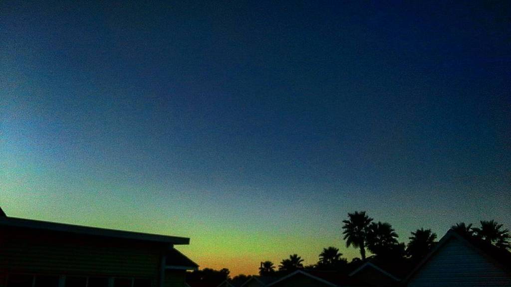 scia_chimica's tweet photo. #floridaskies #sunsets #sky #skysnappers #palmtrees #igclouds #picoftheday #instaphoto #be… https://t.co/Bmnba2uvw4 https://t.co/8ena5IuL1A
