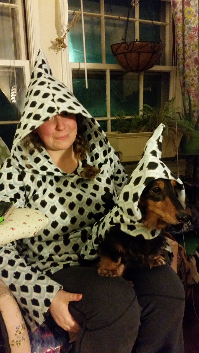 WhimsyandFluff's tweet photo. Today's project: matching Mommy/Doggie hoodies!
#nevertoooldformakebelieve https://t.co/JrKFdCnT1s