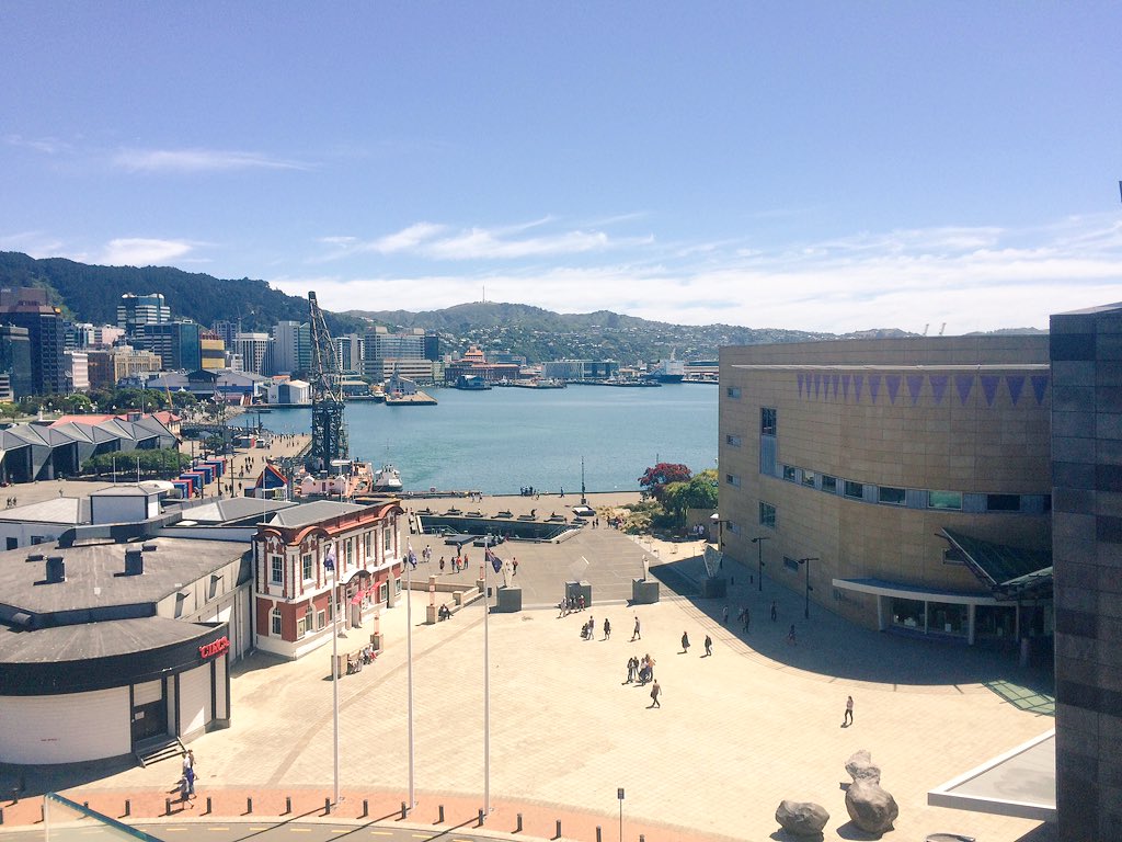 PeterMacauley's tweet photo. Lovely view from our new flat #Wellington #NZ https://t.co/2zoARxWeZd
