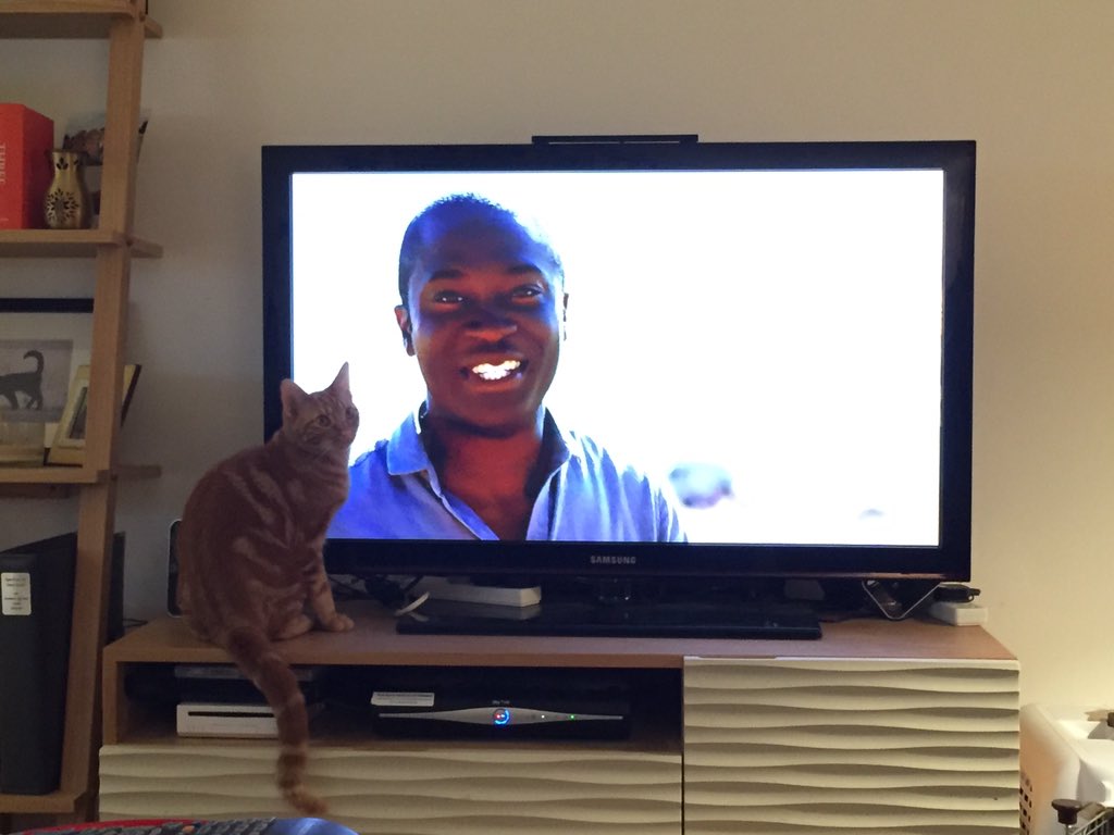 PurrPals2015's tweet photo. Loved #bigcats on #sky1 tonight with @patrickaryee! Been learning new #catskills from our cool cousins! #oscarpixie https://t.co/jmnNrViocY