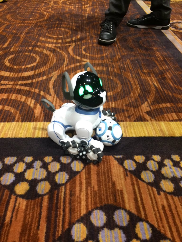 CES's tweet image. .@WowWeeWorld's robo-dog is always ready to play! #CES2016