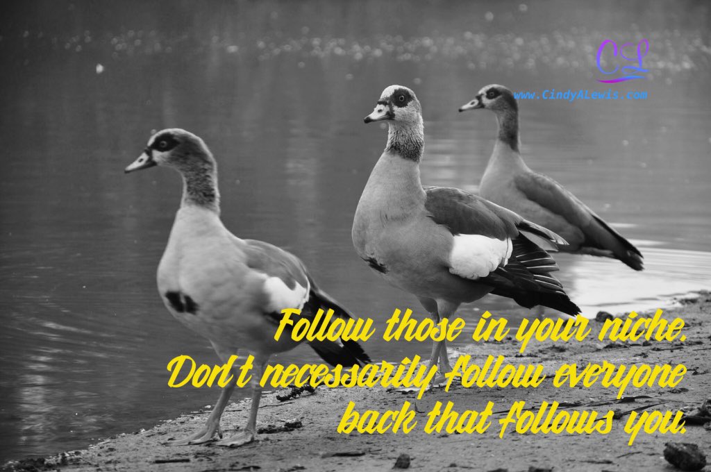 cindyalewis's tweet image. Follow those in your niche. Don&apos;t necessarily follow everyone back that follows you. #TwitterTip #TwitterSmart