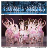 PremEmailer's tweet photo. The Pennsylvania Ballet Roasted A Football Fan Who Whined About Tutus https://t.co/LT7sU02EEF #dancers https://t.co/IDViiRbBwt