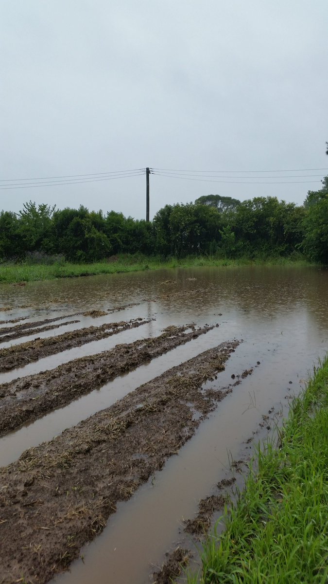 Johnstone Farmer tweet media