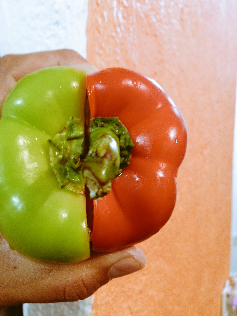 marcodearco's tweet image. Así como el verde le pertenece al rojo, y el rojo al verde. Así me perteneces #love