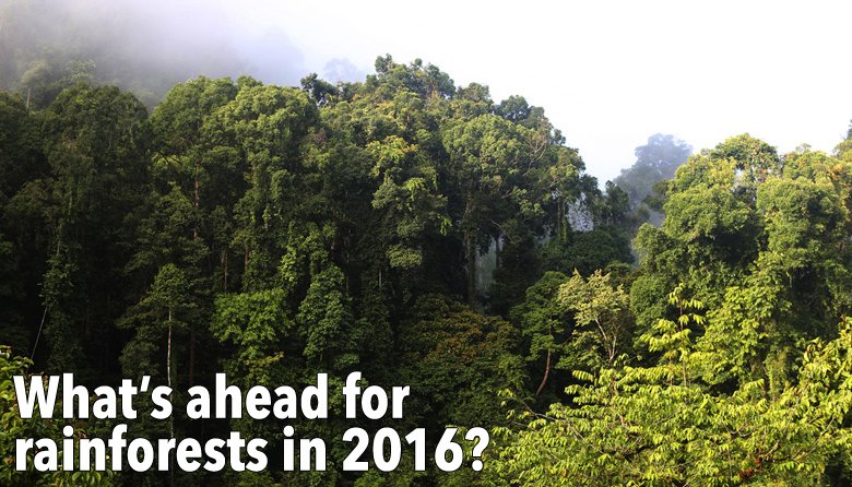 What’s ahead for rainforests in 2016? 10 things to watch ow.ly/WDgxd