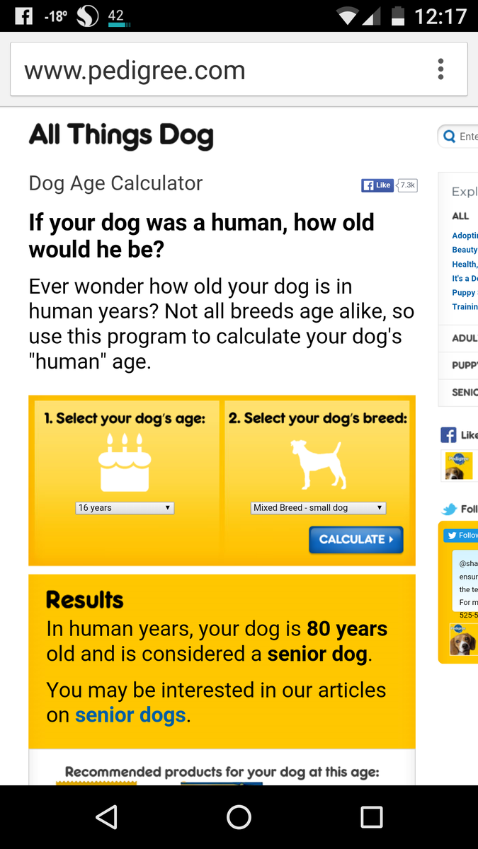 derpleee's tweet photo. Imagine if your dog turned into his human equivalent rn, I'd have an elderly man curled up at the end of my bed https://t.co/XwdZVBmNpz