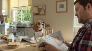 ANIMATIONWorld's tweet photo. AWN NEWS: Finish Creates CG-Animated Dog for New Beagle Street Campaign https://t.co/qBdSGruu7j https://t.co/7Logc1r0A8